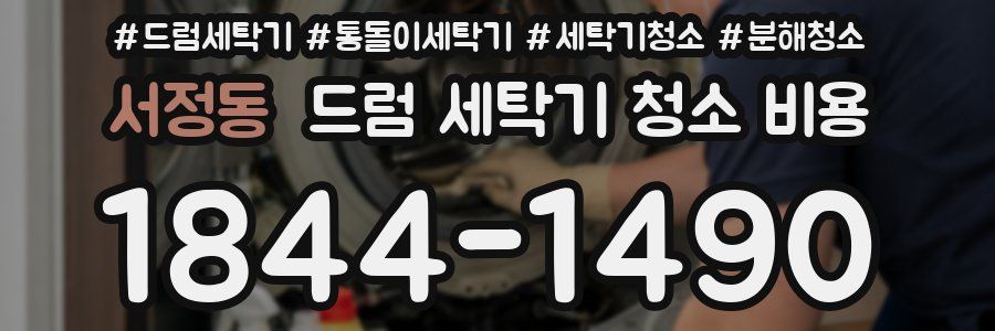 서정동 드럼 세탁기 청소 비용