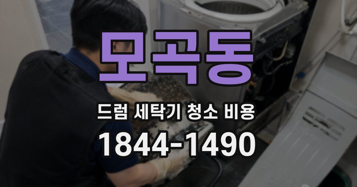 모곡동 드럼 세탁기 청소 비용