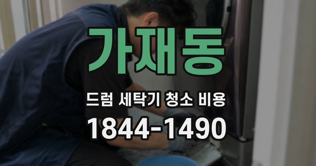 가재동 드럼 세탁기 청소 비용