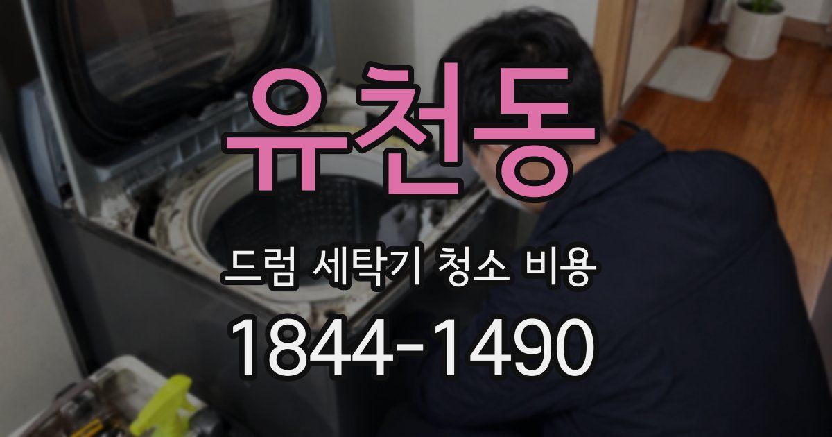 유천동 드럼 세탁기 청소 비용