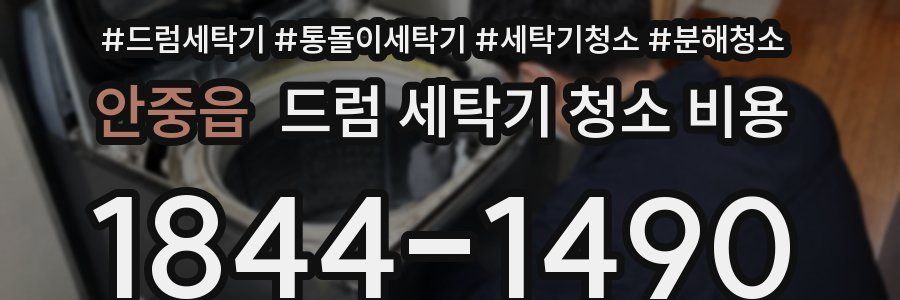 안중읍 드럼 세탁기 청소 비용
