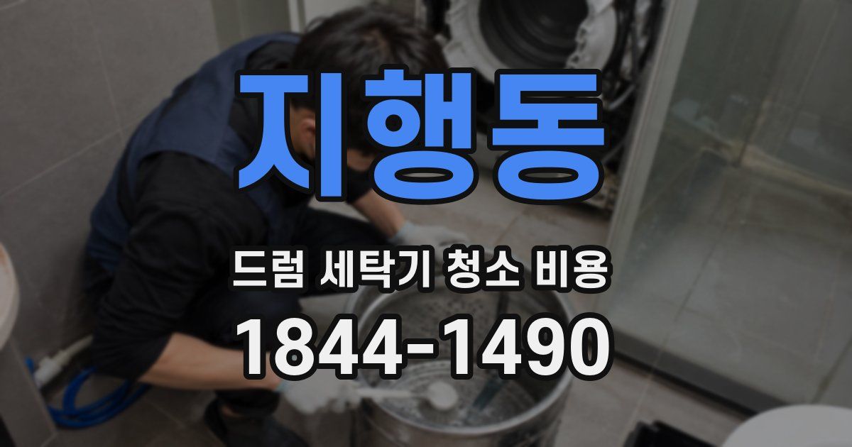 지행동 드럼 세탁기 청소 비용