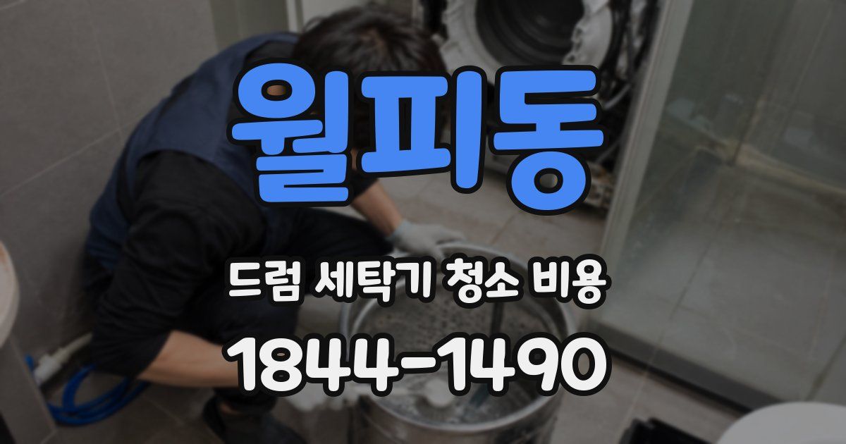 월피동 드럼 세탁기 청소 비용