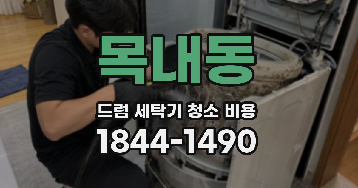 목내동 드럼 세탁기 청소 비용
