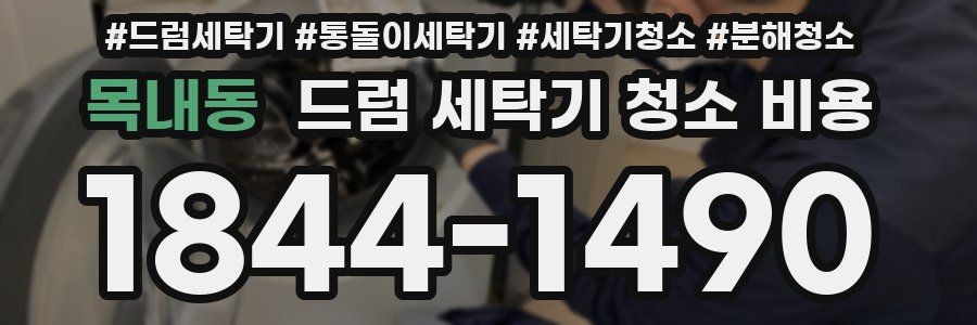 목내동 드럼 세탁기 청소 비용