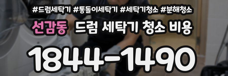 선감동 드럼 세탁기 청소 비용