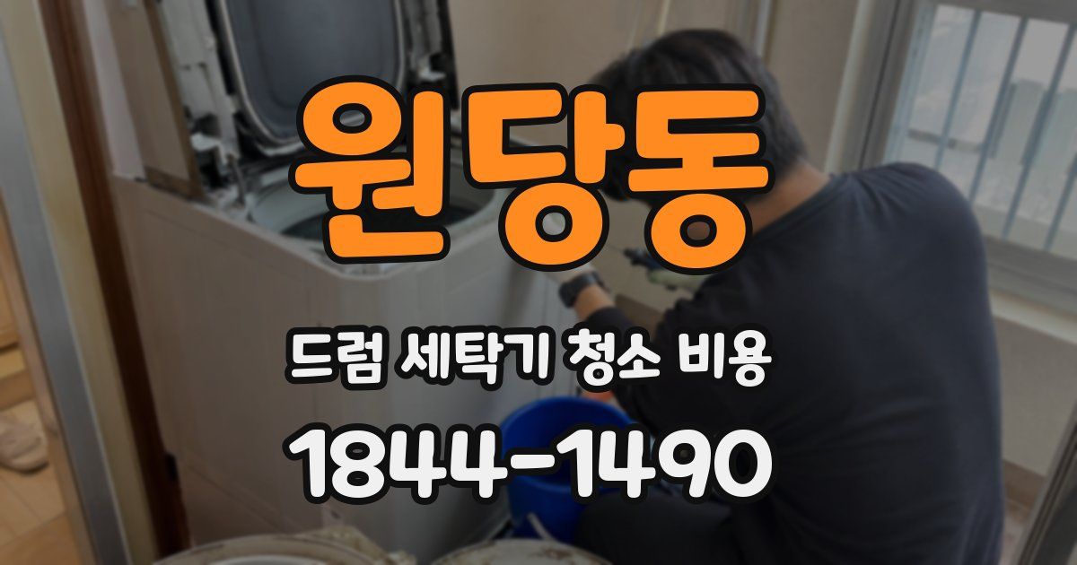 원당동 드럼 세탁기 청소 비용