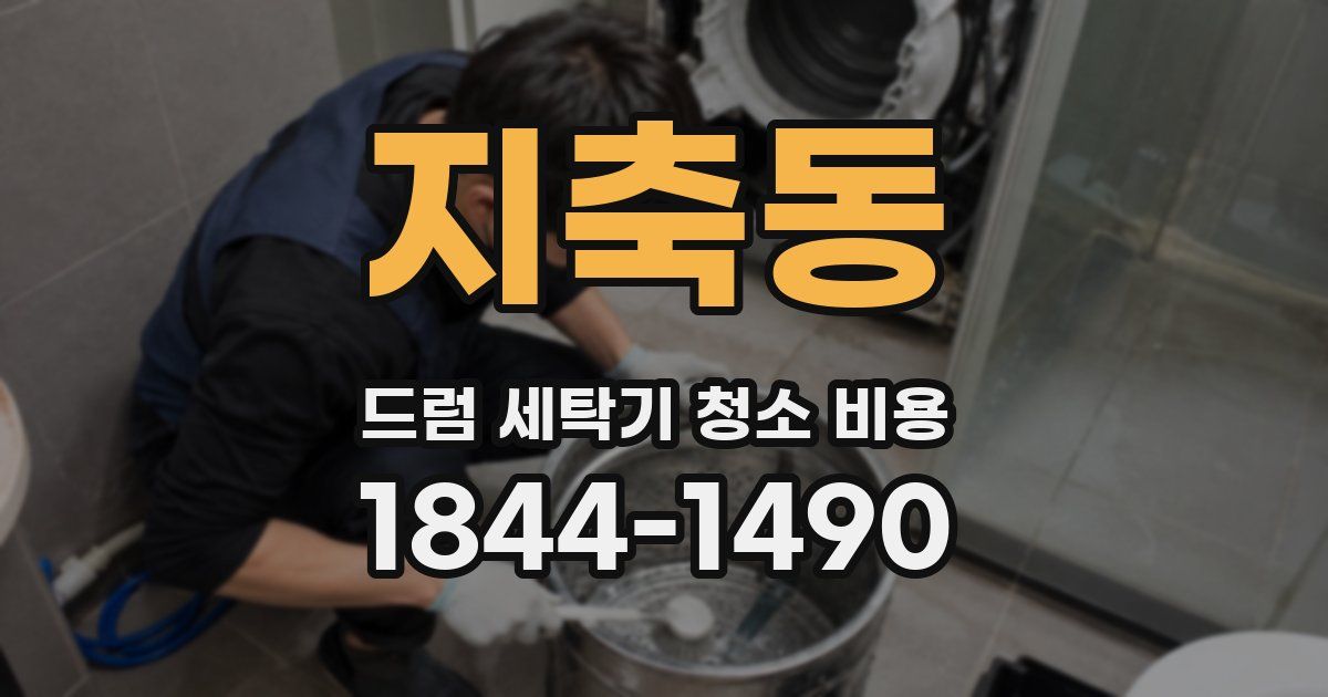 지축동 드럼 세탁기 청소 비용