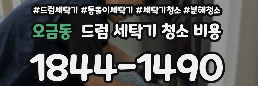 오금동 드럼 세탁기 청소 비용