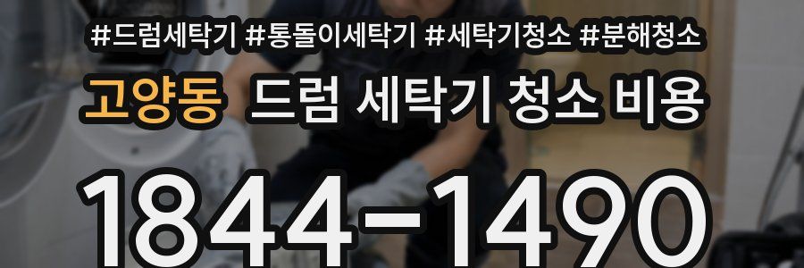 고양동 드럼 세탁기 청소 비용