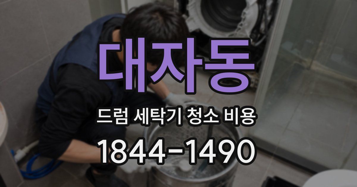 대자동 드럼 세탁기 청소 비용