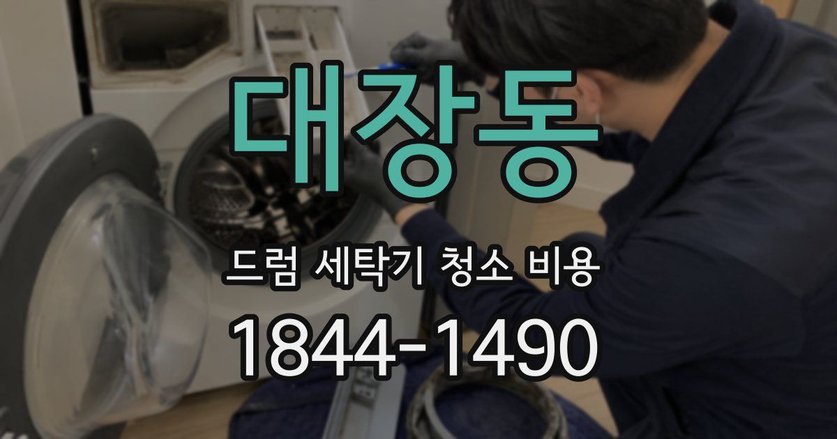 대장동 드럼 세탁기 청소 비용