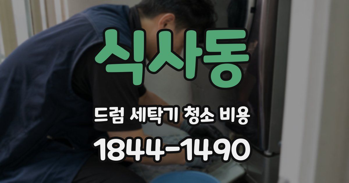 식사동 드럼 세탁기 청소 비용