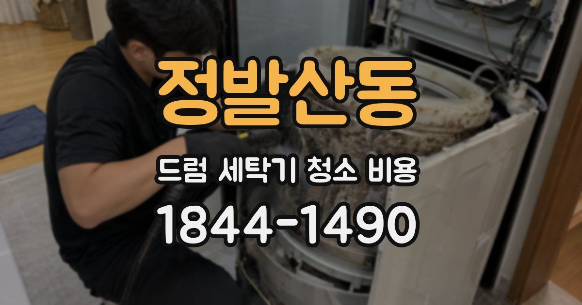 정발산동 드럼 세탁기 청소 비용