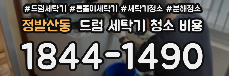 정발산동 드럼 세탁기 청소 비용