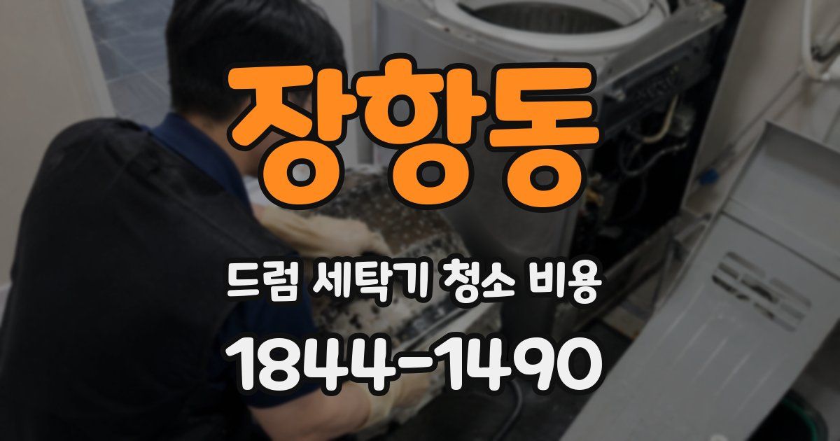 장항동 드럼 세탁기 청소 비용