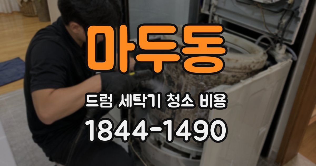 마두동 드럼 세탁기 청소 비용