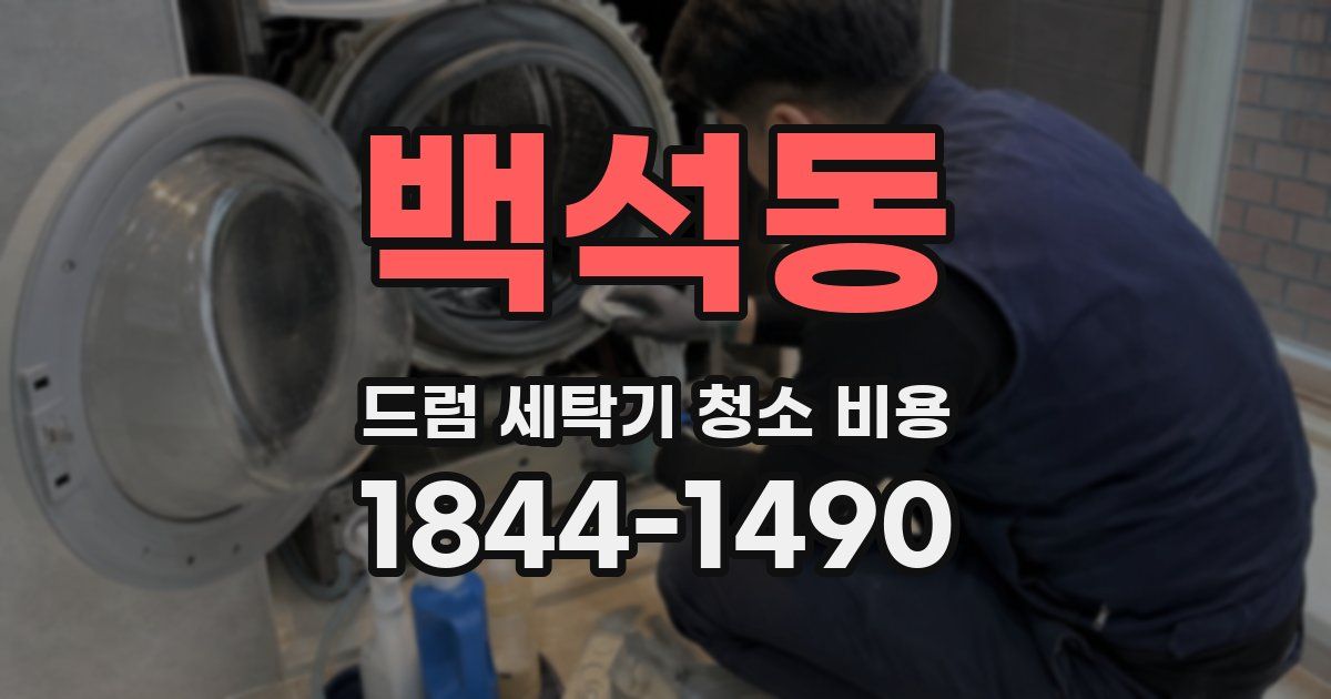 백석동 드럼 세탁기 청소 비용