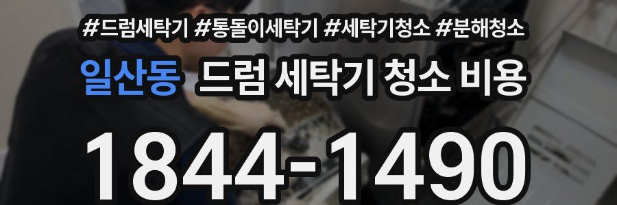일산동 드럼 세탁기 청소 비용