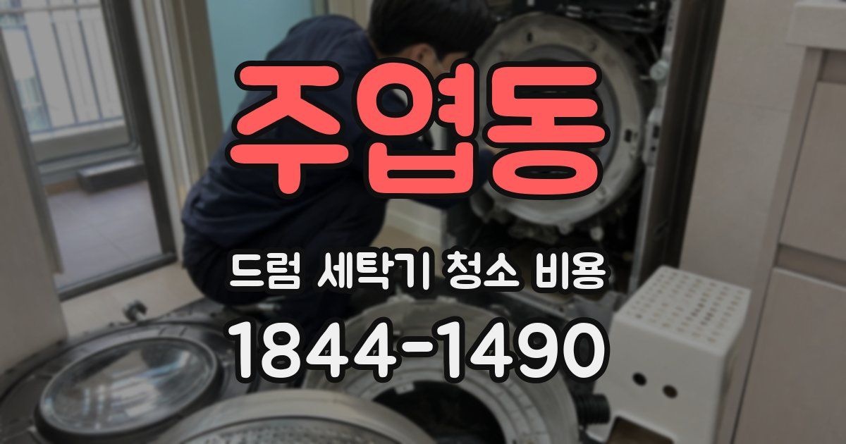 주엽동 드럼 세탁기 청소 비용