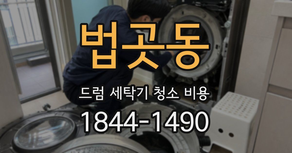 법곳동 드럼 세탁기 청소 비용