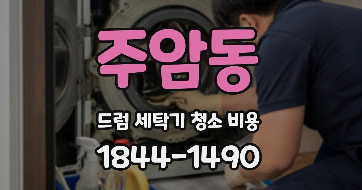주암동 드럼 세탁기 청소 비용
