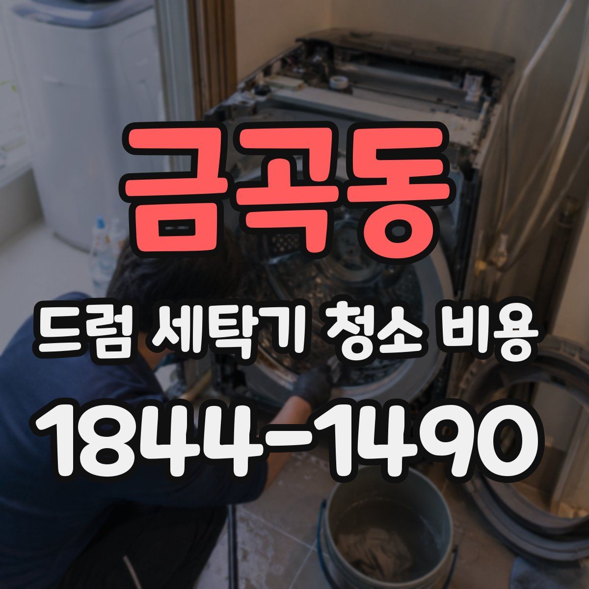 금곡동 드럼 세탁기 청소 비용