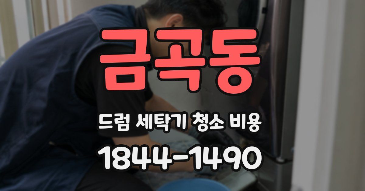 금곡동 드럼 세탁기 청소 비용