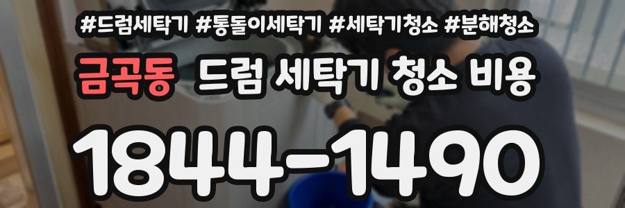 금곡동 드럼 세탁기 청소 비용