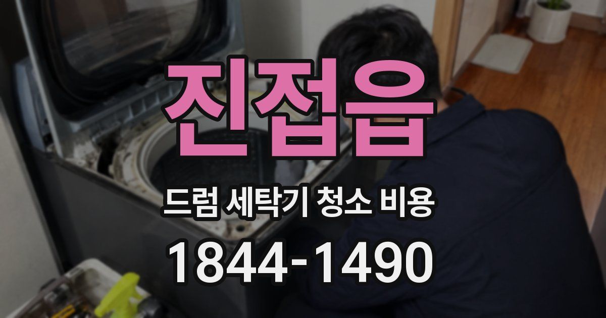 진접읍 드럼 세탁기 청소 비용
