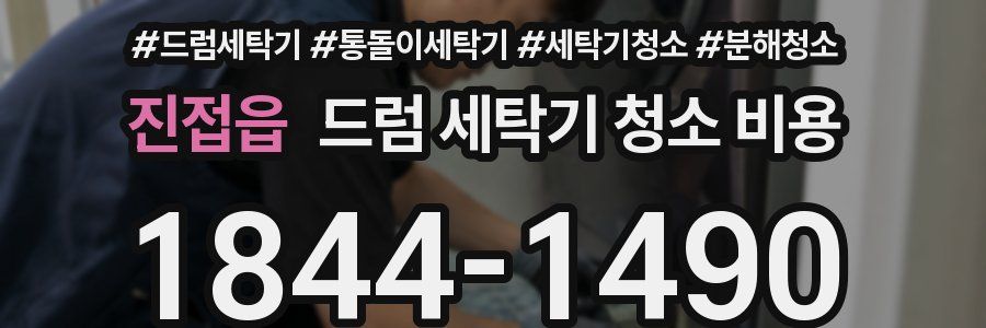 진접읍 드럼 세탁기 청소 비용
