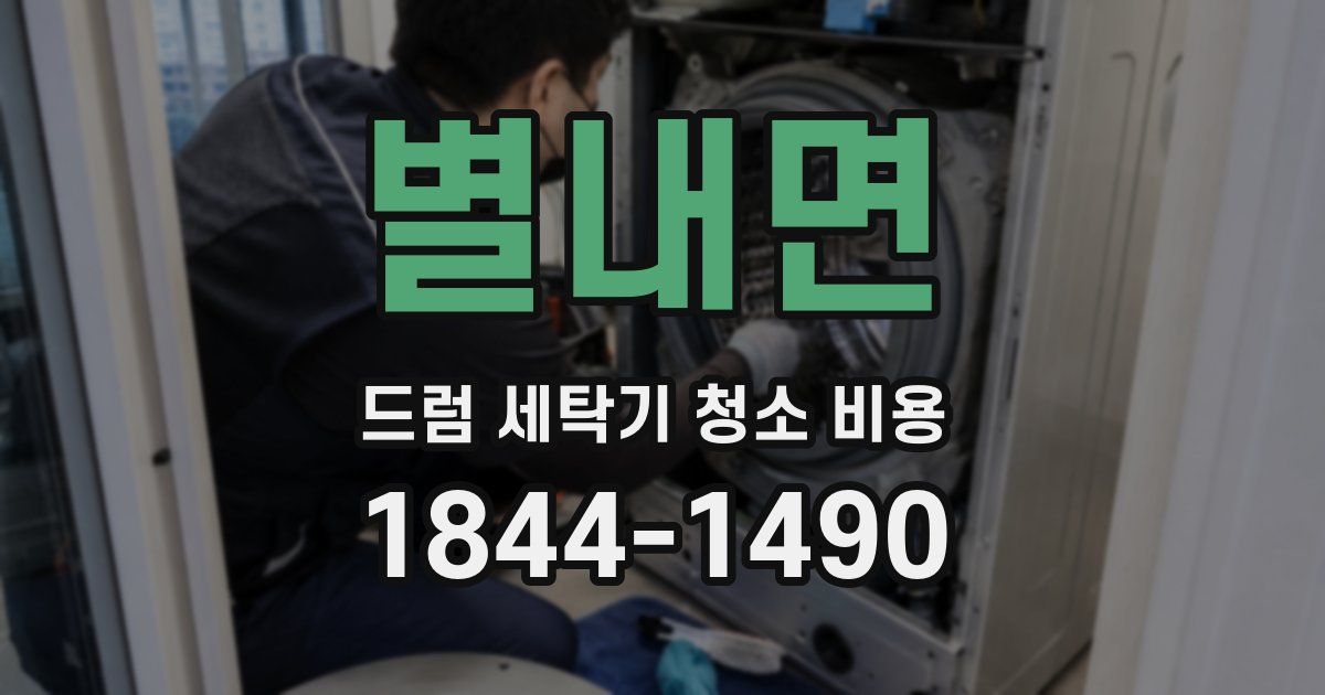 별내면 드럼 세탁기 청소 비용