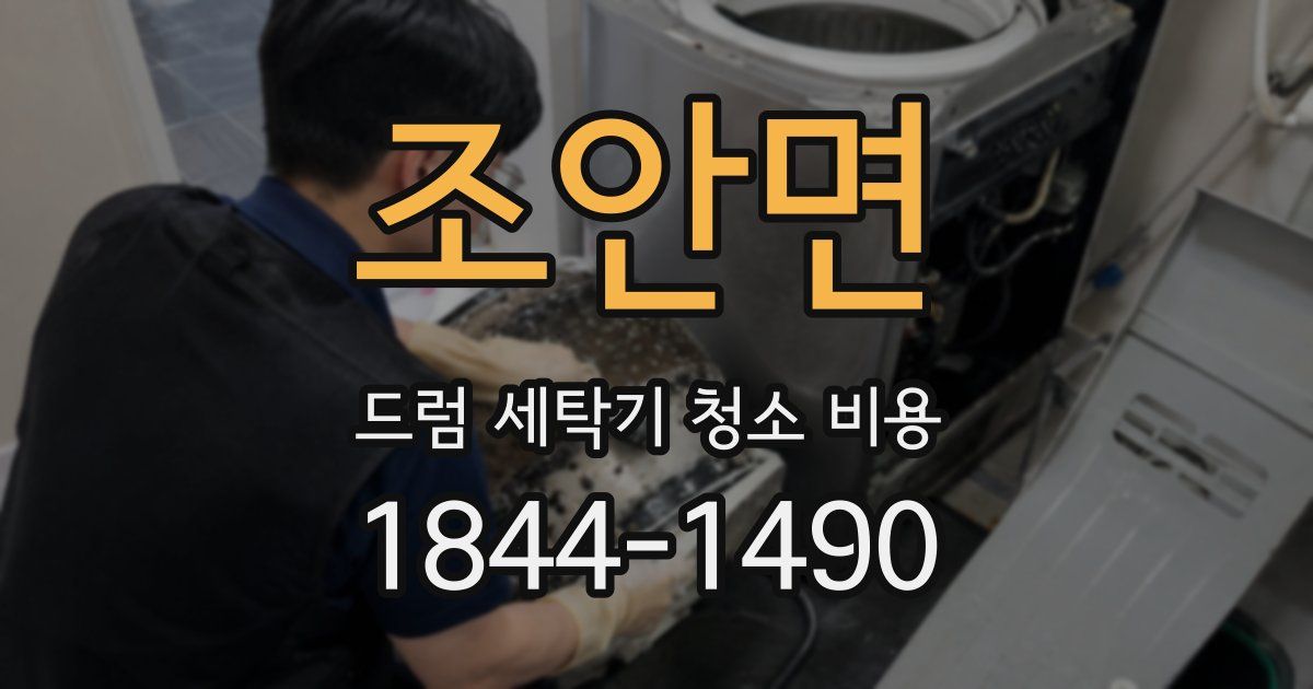조안면 드럼 세탁기 청소 비용