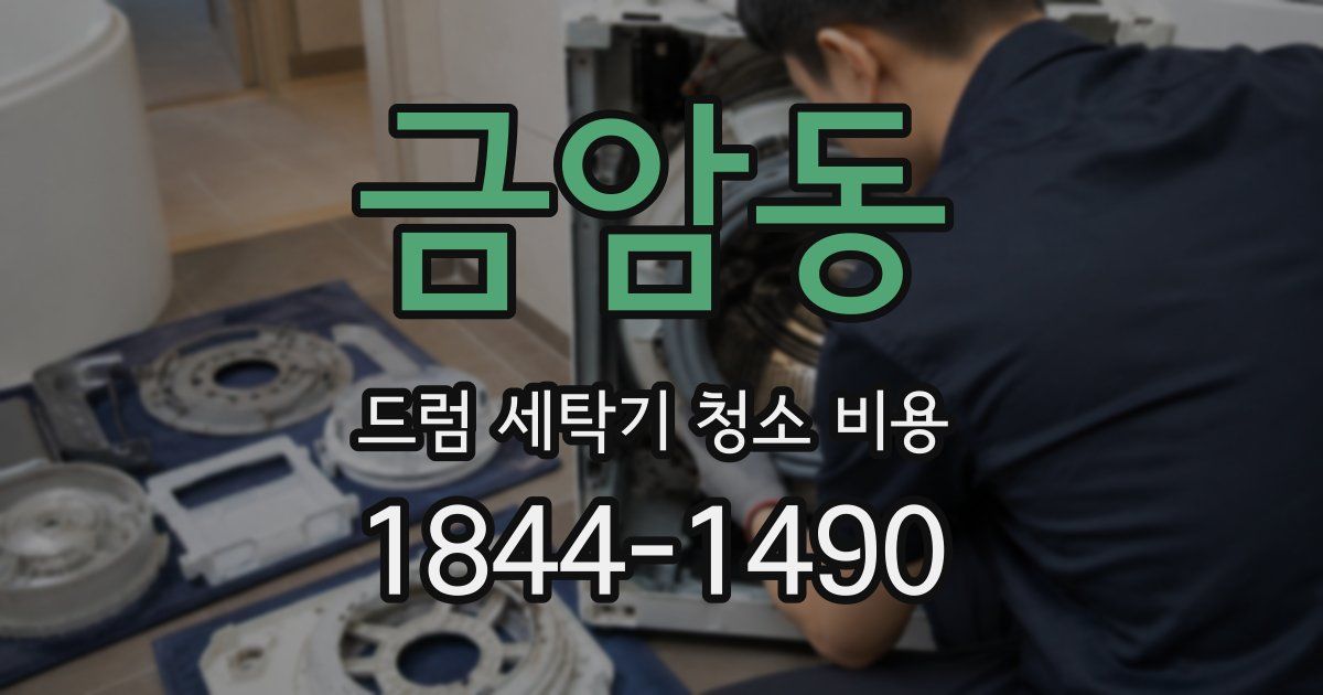 금암동 드럼 세탁기 청소 비용