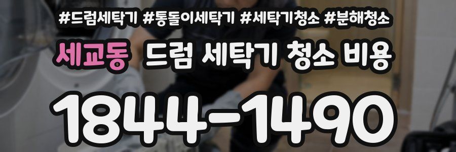 세교동 드럼 세탁기 청소 비용