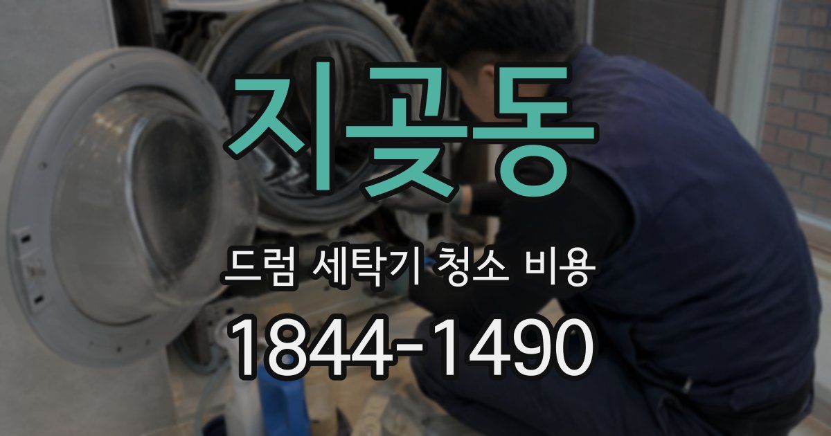 지곶동 드럼 세탁기 청소 비용
