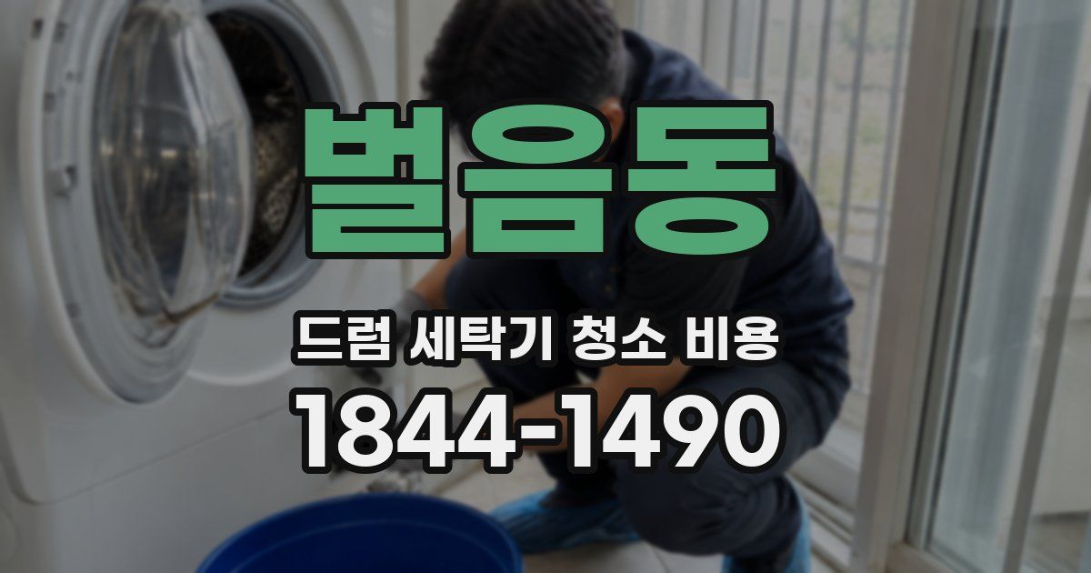 벌음동 드럼 세탁기 청소 비용