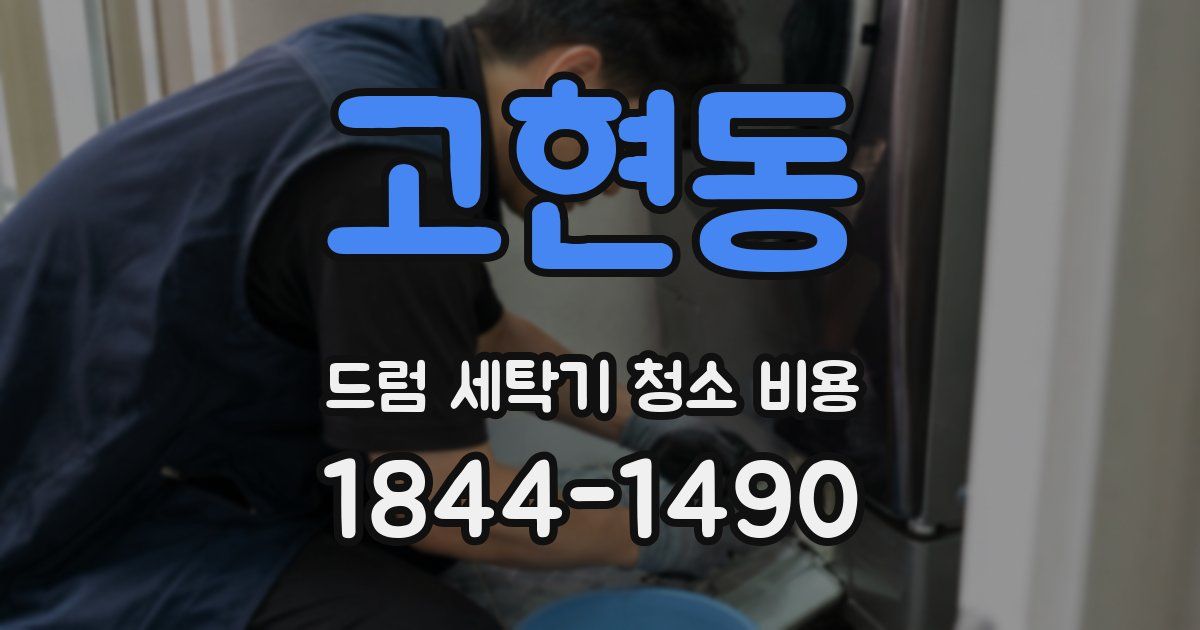 고현동 드럼 세탁기 청소 비용