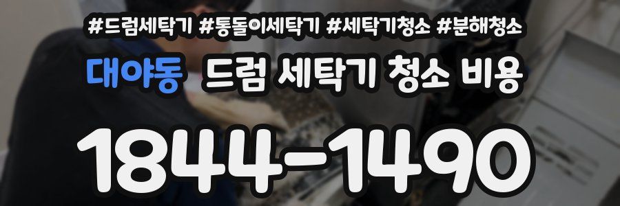 대야동 드럼 세탁기 청소 비용