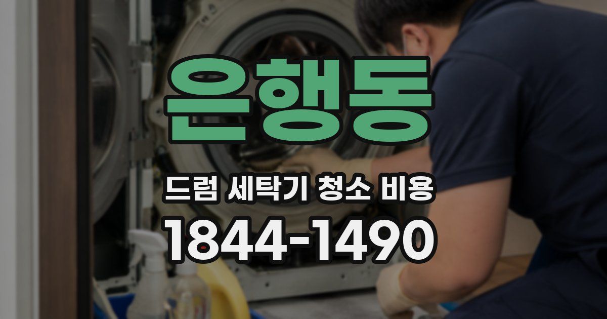 은행동 드럼 세탁기 청소 비용