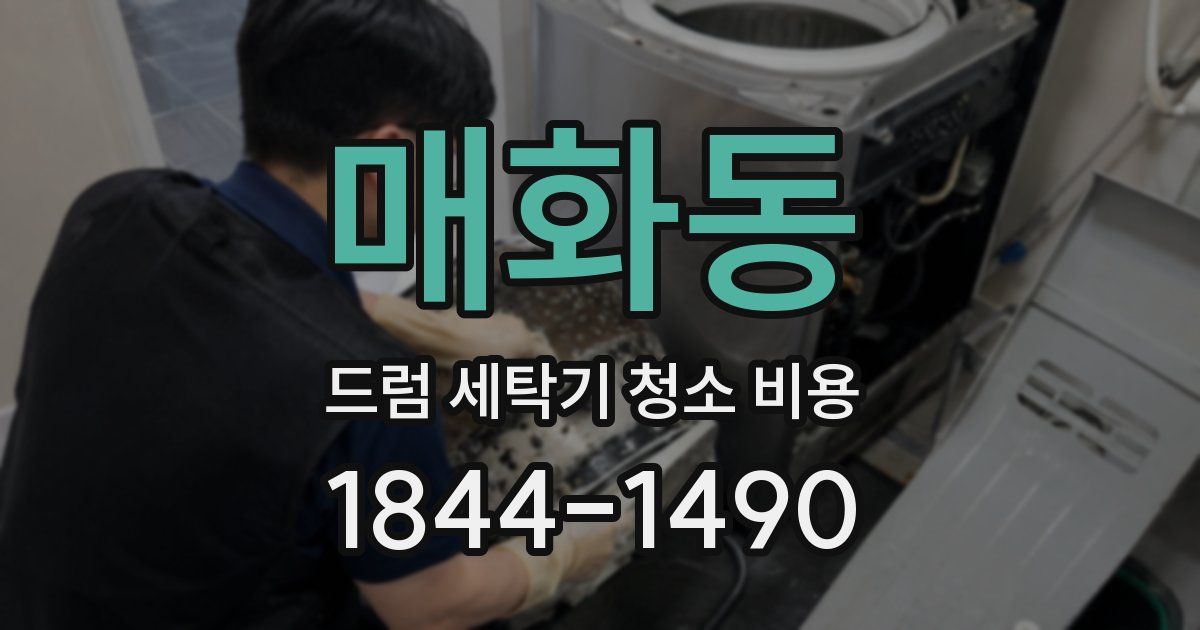 매화동 드럼 세탁기 청소 비용