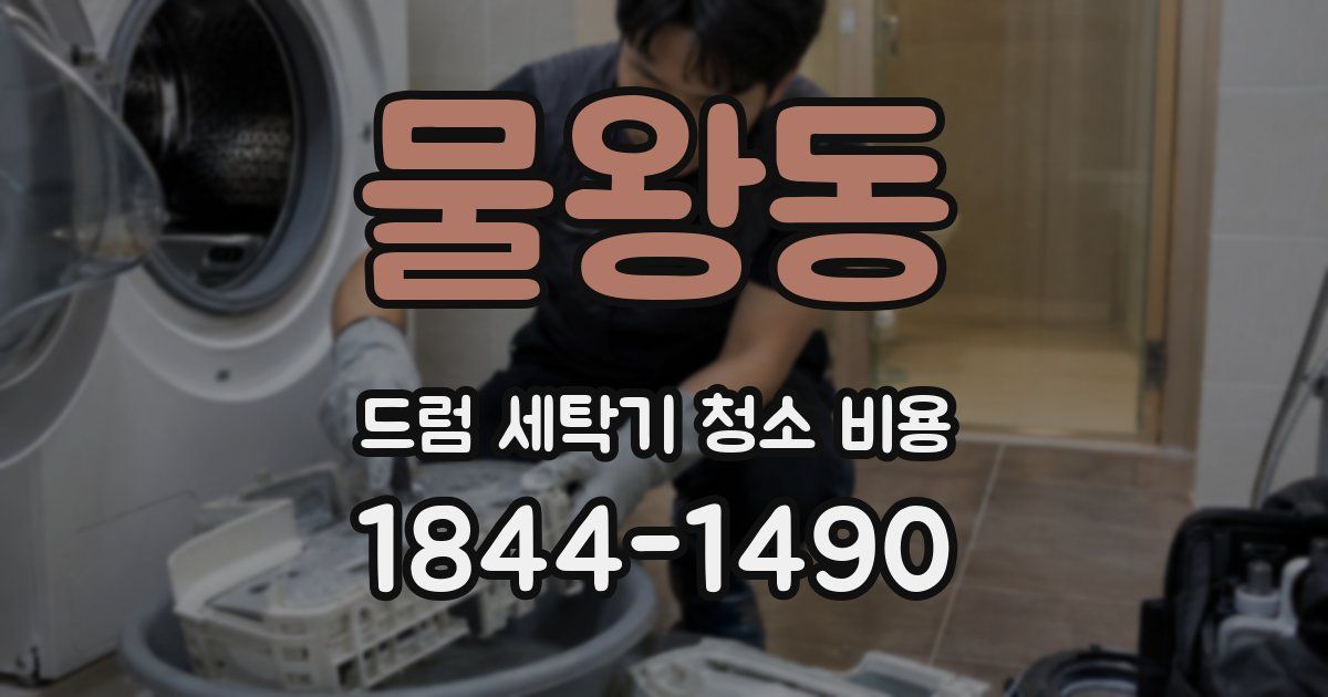 물왕동 드럼 세탁기 청소 비용