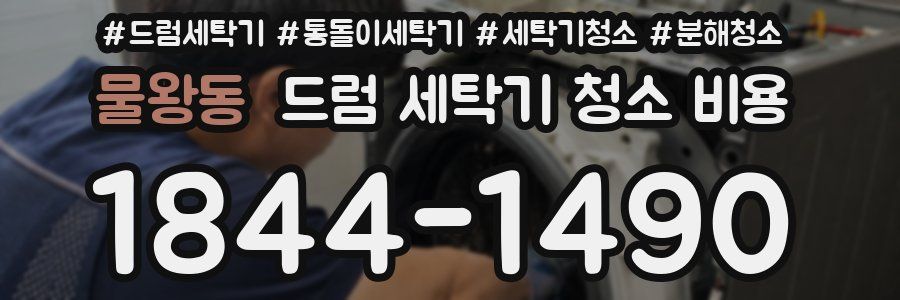 물왕동 드럼 세탁기 청소 비용