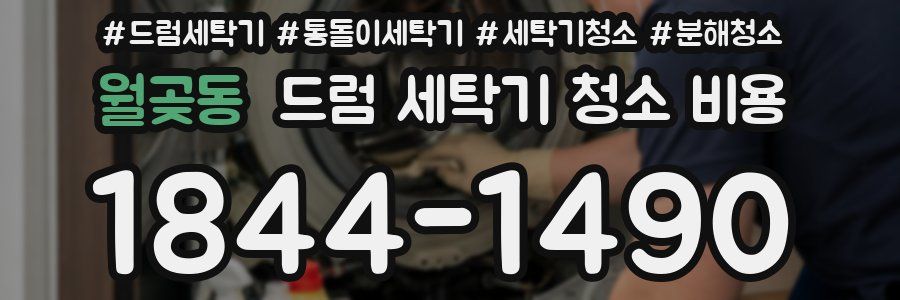 월곶동 드럼 세탁기 청소 비용
