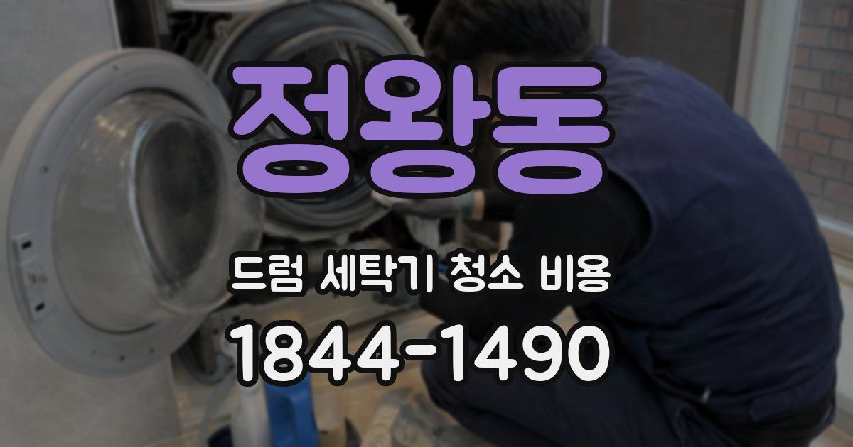 정왕동 드럼 세탁기 청소 비용