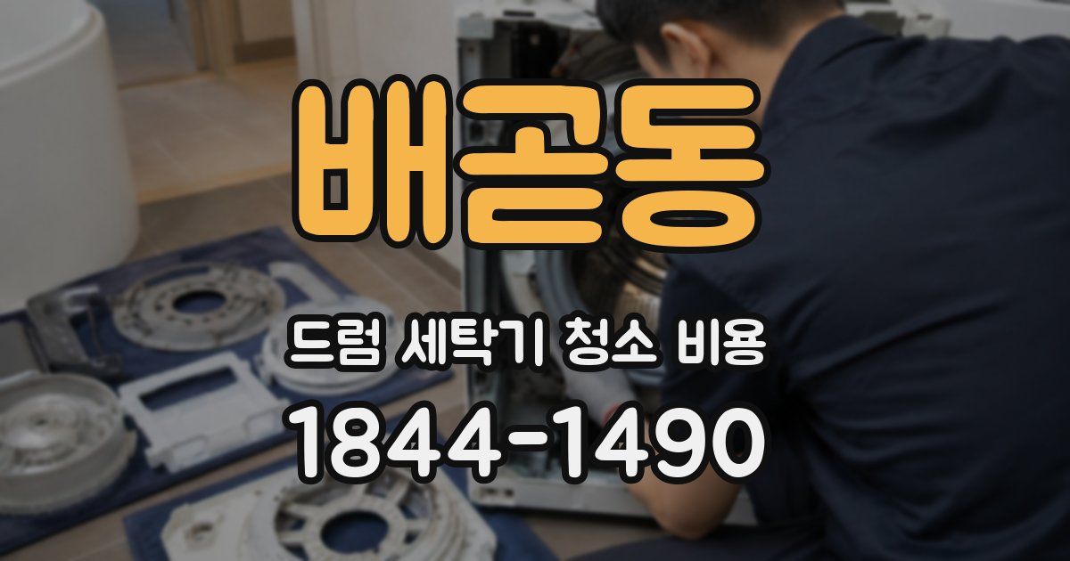 배곧동 드럼 세탁기 청소 비용