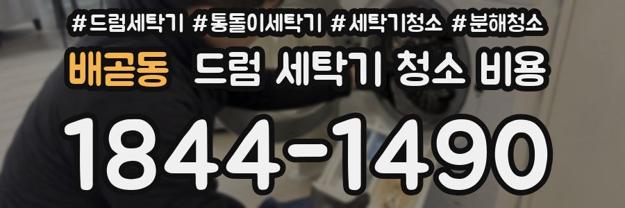 배곧동 드럼 세탁기 청소 비용