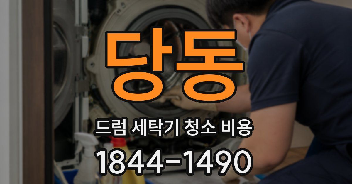 당동 드럼 세탁기 청소 비용