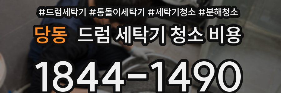 당동 드럼 세탁기 청소 비용
