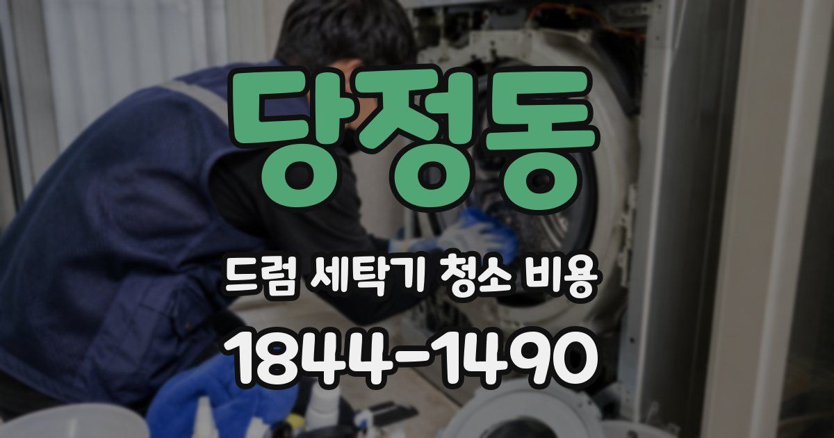 당정동 드럼 세탁기 청소 비용